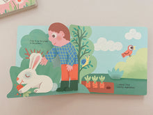 Load image into Gallery viewer, Rabbit (Tales from nature) Board book - Lift the flap