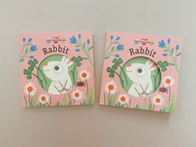 Load image into Gallery viewer, Rabbit (Tales from nature) Board book - Lift the flap