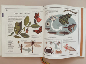 Curiositree: Natural World: A Visual Compendium of Wonders from Nature - Hardcover